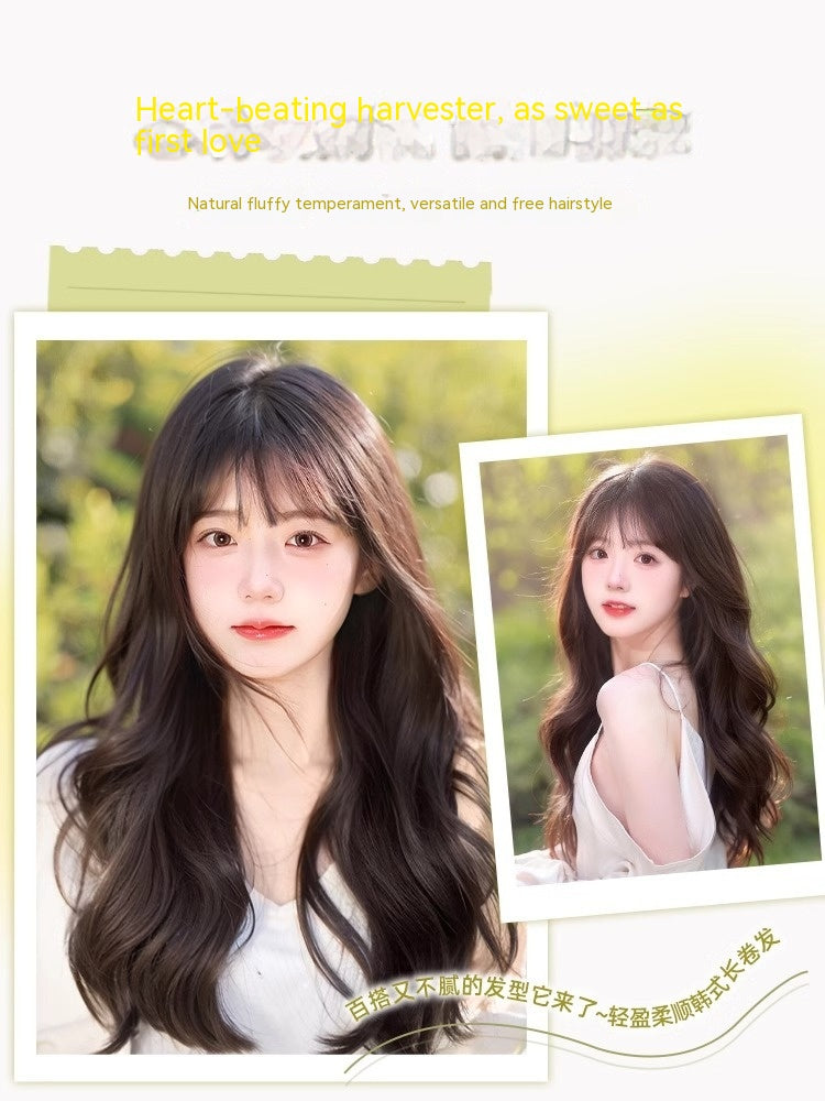 ff6426303e47f470e58bc00941ff136d
